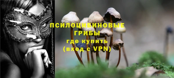 крисы Лабытнанги