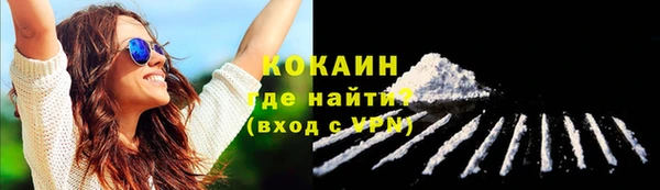не бодяженный Ладушкин