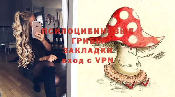 гидра Лиски
