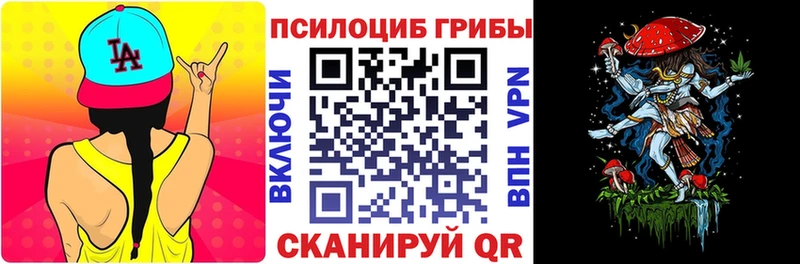 кракен ССЫЛКА  закладка  Луховицы  Галлюциногенные грибы Cubensis 