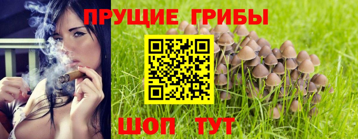Галлюциногенные грибы MAGIC MUSHROOMS  Галлюциногенные грибы GOLDEN TEACHER  Луховицы  Вход с VPN 